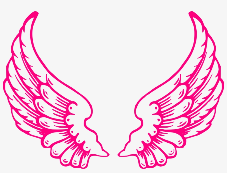 wings clipart pink