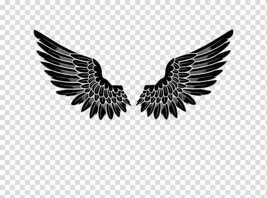 wings clipart logo