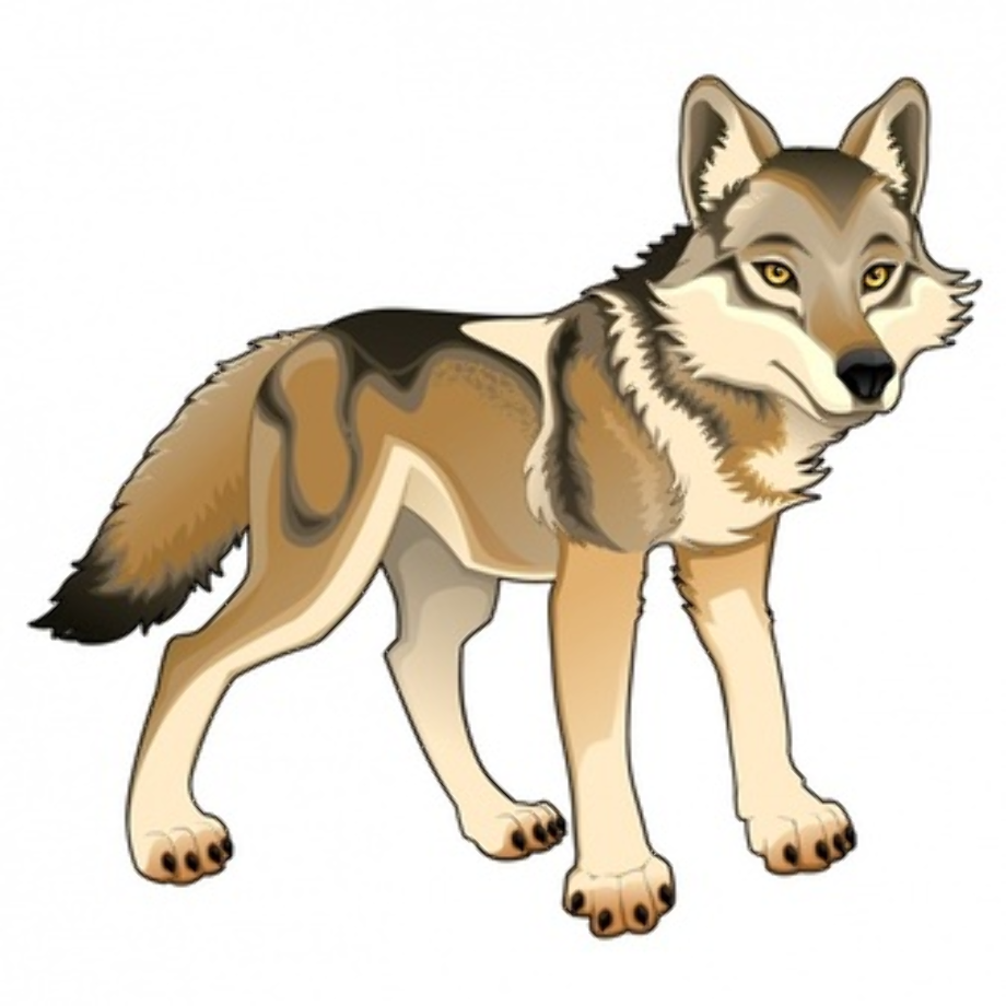 wolf clipart colorful