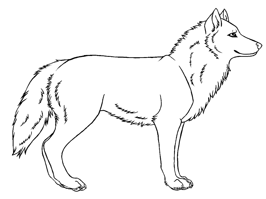 wolf clipart realistic