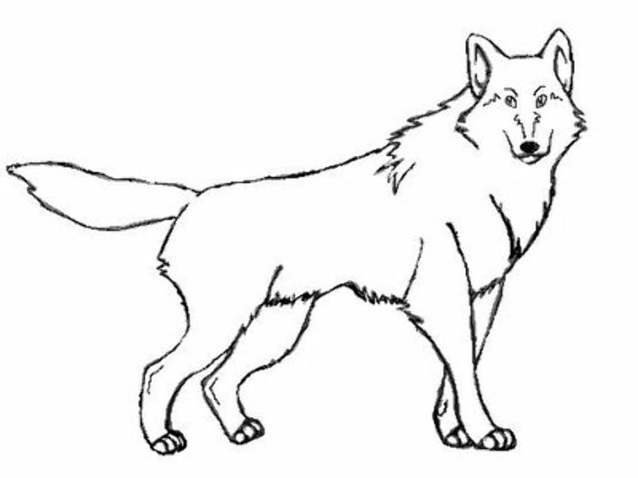 Download High Quality wolf clipart outline Transparent PNG