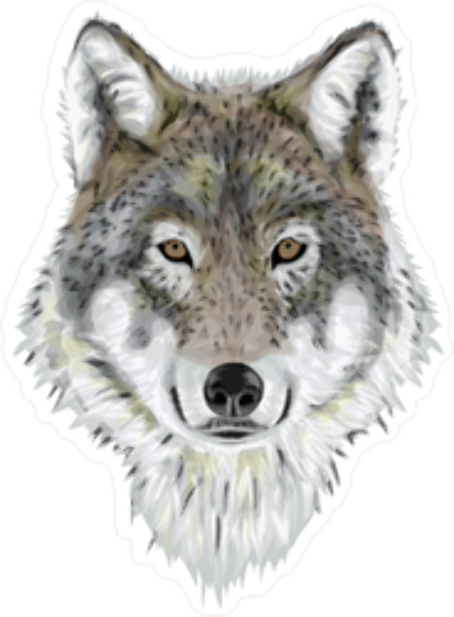 Download High Quality wolf clipart realistic Transparent PNG Images