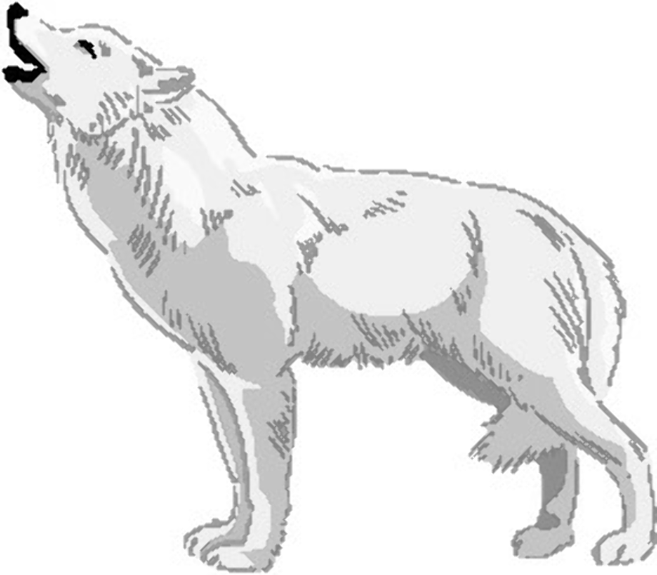 wolf clipart