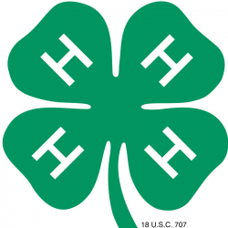 Roundup of 4-H news for Nov. 21, 2019 - Farm and Dairy