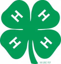 4-H Management | Texas 4-H