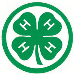Cambria County 4-H celebrates 100 years | News | tribdem.com