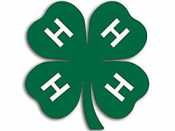 Amazon.com: MAGNET 4H Green Clover Shaped Logo Sticker ...
