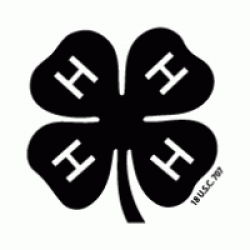 4-H | Brands of the World™ | Download vector logos and logotypes