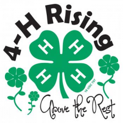 NMSU: ACES | 4-H Youth Development | Adult Volunteer Leaders