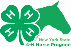 Horse Program | NYS 4-H Youth Development Program