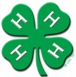 4-H Emblem