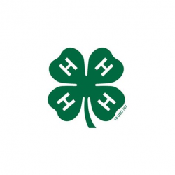 Official 4 h Logos