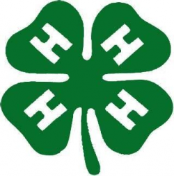 Official 4 h Logos