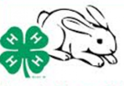 4-H Livestock Projects | Bandera