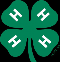 Large 4-H logo for stenciling | 4-H Shirt Ideas | 4 h club ...