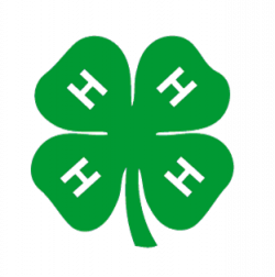 4-H