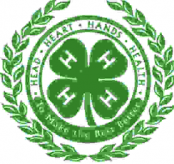 4-H/FFA Market Lamb Sheep Project Selection and Management ...