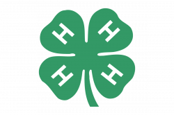 4-H of Allegheny County | Remake Learning