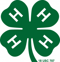 4-H Management | Texas 4-H