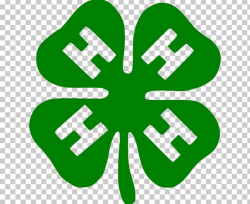 4-H Learning-by-doing Organization Positive Youth ...