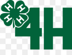 4h PNG and 4h Transparent Clipart Free Download.