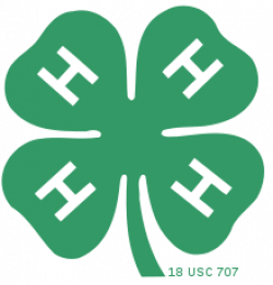 4-H - Wikipedia