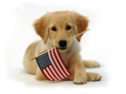 Free Patriotic Dog Cliparts, Download Free Clip Art, Free Clip Art ...