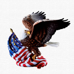 4th Of July Eagle Flag Images Pictures - Becuo - Clip Art Library