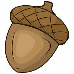 Acorn clipart. Free download. | Creazilla