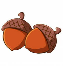 Acorn Clipart Vector Images (87)