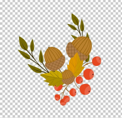 Autumn Leaf Color Illustration PNG, Clipart, Acorn, Acorn ...