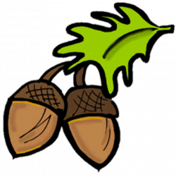 Free Acorn Cliparts, Download Free Clip Art, Free Clip Art ...