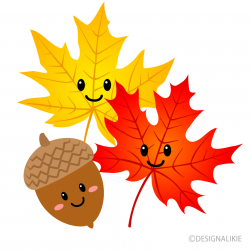 Free Cute Acorn and Maple Clipart Image｜Illustoon