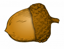 ftestickers #clipart #fall #autumn #acorn - Acorn ...