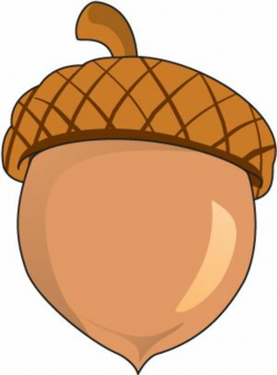 Pin by Gabbi Cook on SAB PR | Clip art, Acorn, Fall clip art