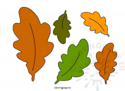 Acorn leaf ClipArt Autumn leaves – Coloring Page
