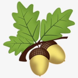 Acorn & Oak - Treehouse Clipart , Transparent Cartoon, Free ...