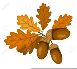 Oak Leaves Acorns Clipart | Free Images at Clker.com ...