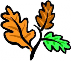 Free Oak Tree Clipart, Download Free Clip Art, Free Clip Art ...