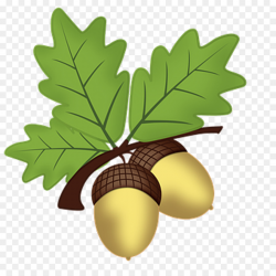 Oak Tree Leaf clipart - Oak, Leaf, Food, transparent clip art