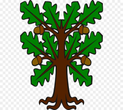 Oak Tree Drawing clipart - Tree, Graphics, Illustration ...