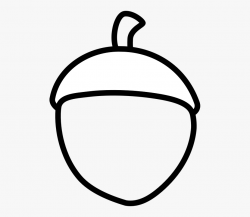 Acorn clipart outline clipart images gallery for free ...