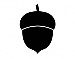 Acorn clipart silhouette, Acorn silhouette Transparent FREE ...