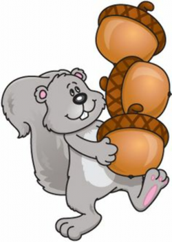 Acorn and squirrelly clipart and backgrounds on - Clipartix