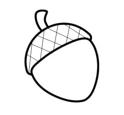 Acorn Clipart Black And White | Free download best Acorn ...