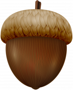 Acorn PNG Clip Art Image | Gallery Yopriceville - High ...