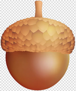 Download for free 10 PNG Acorn clipart transparent ...
