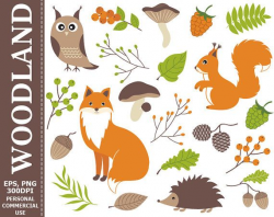 Digital Woodland Clipart - Fox, Squirrel, Owl, Hedgehog ...