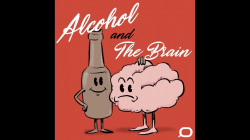 The Conversation: How Alcohol Effects Our Bodies and Brains
