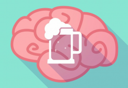 The brains of alcohol dependents and binge drinkers may ...